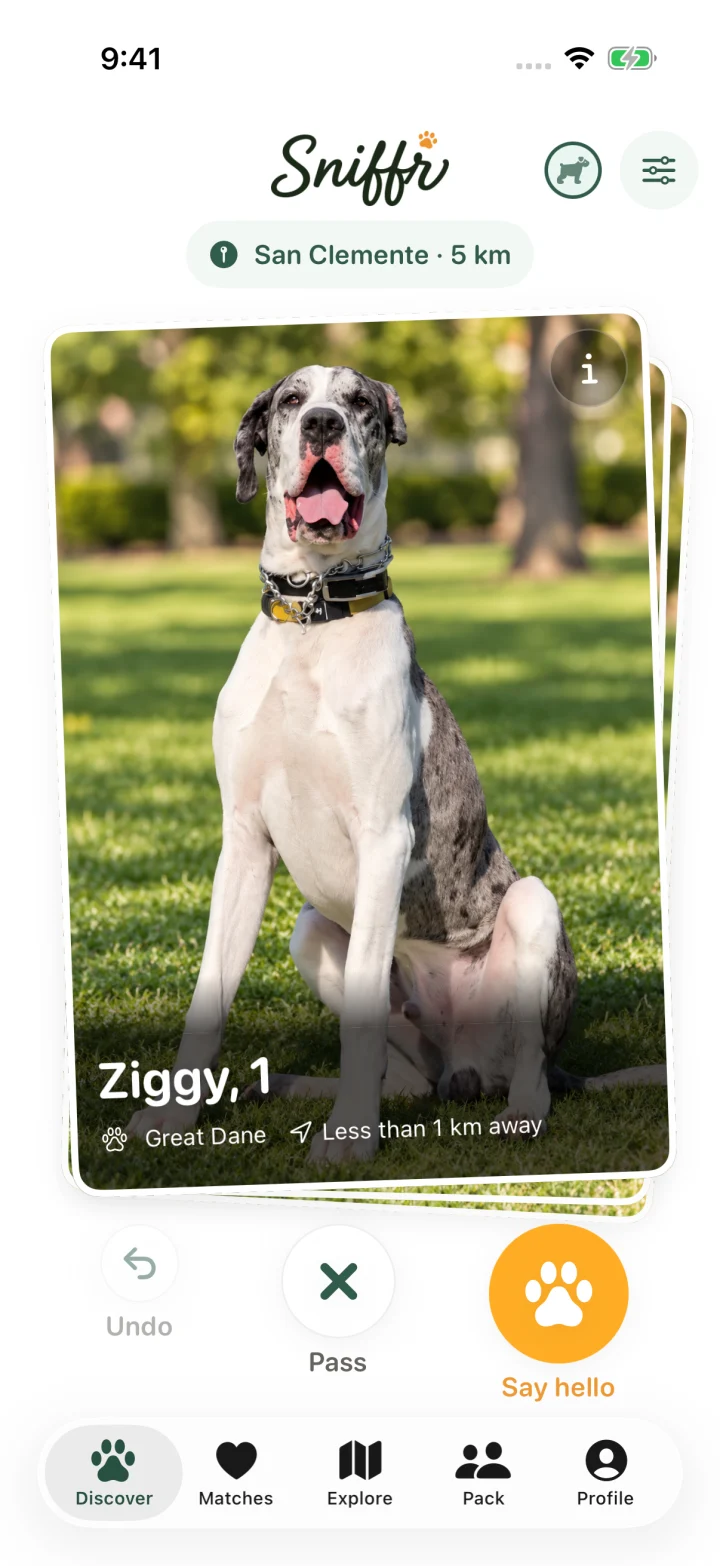 Sniffr's Discover view, showing Ziggy's profile card and ways to connect.